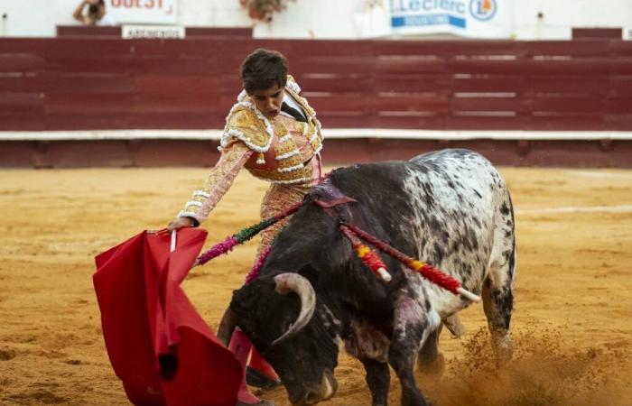 agenda, abandonments and party in our bullfighting echoes