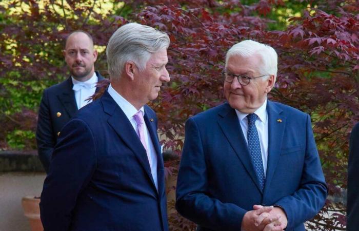 Grand Duke Henri welcomes King Philippe, Hereditary Prince Alois and German-speaking presidents to Luxembourg