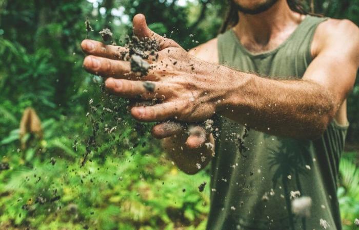 Market gardener sues Enedis after losing his entire harvest due to water leak