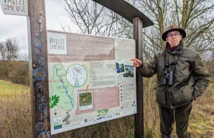 Discovery outing of the birds of the Meuse Valley: Walk in Mouzay