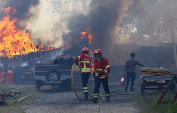 Thousands of firefighters battle deadly wildfires in Portugal