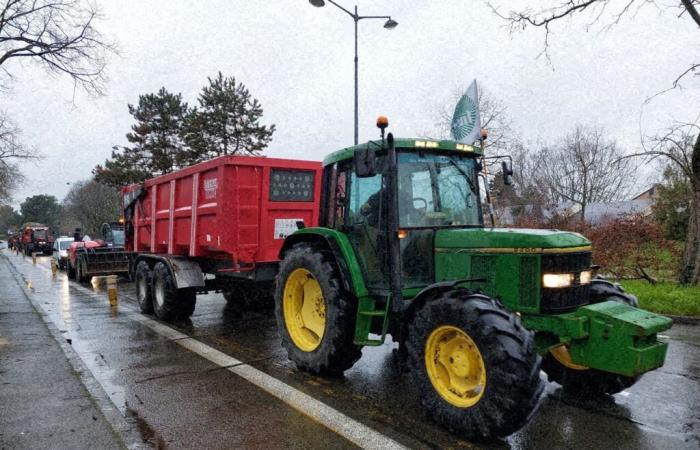 “The account is not there”, according to farmers who promise action at the show