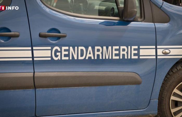 Family meal turns to tragedy in Marne, two dead