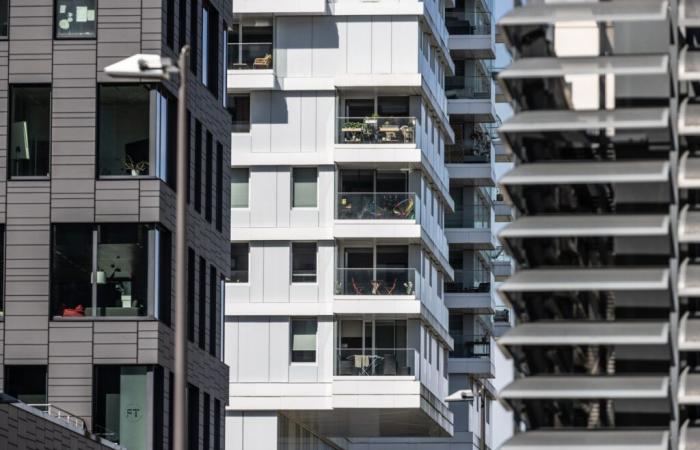 Rental prices to rise by 5% in 2024