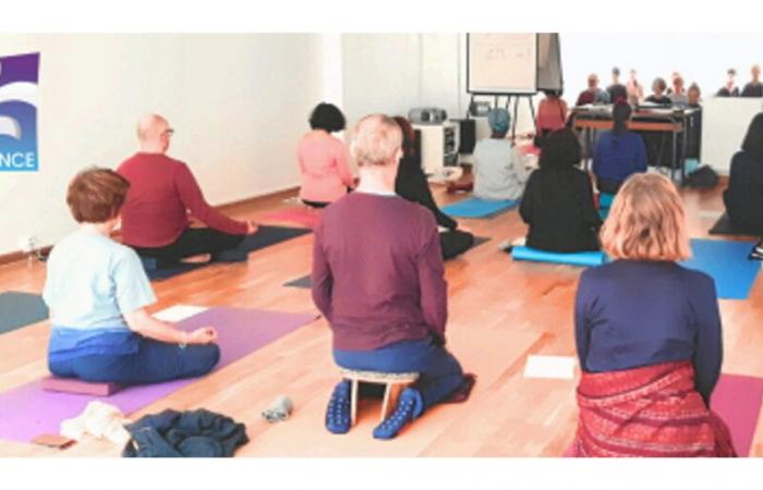 traditional teaching at the service of others with Viniyoga foundation France