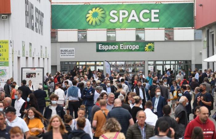 Space in Rennes: “a showcase” for many Mayenne companies