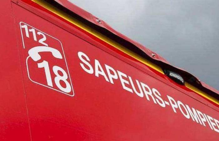 After an accident, they fled, leaving a passenger in a serious condition in Essonne