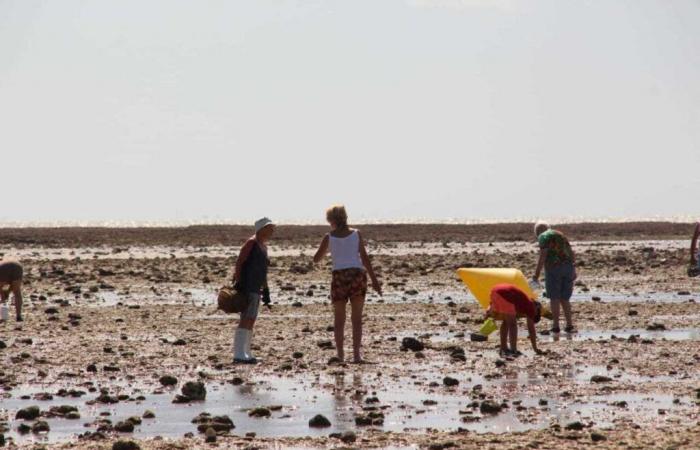 the best spots for fishing on foot in the south of the Loire