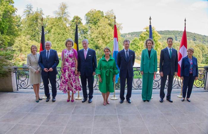 Grand Duke Henri welcomes King Philippe, Hereditary Prince Alois and German-speaking presidents to Luxembourg