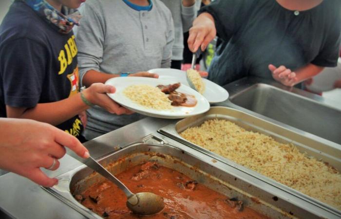 School catering. This department of Occitanie is experimenting with a new way of buying food