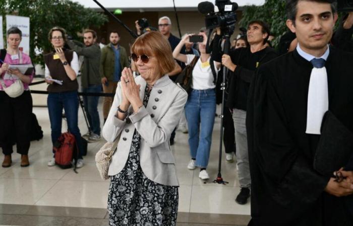 Mazan rape trial: Gisèle Pelicot applauded as she leaves the courtroom (video)