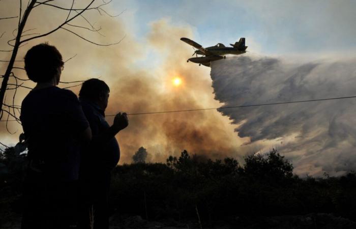 Portugal on alert due to wildfires