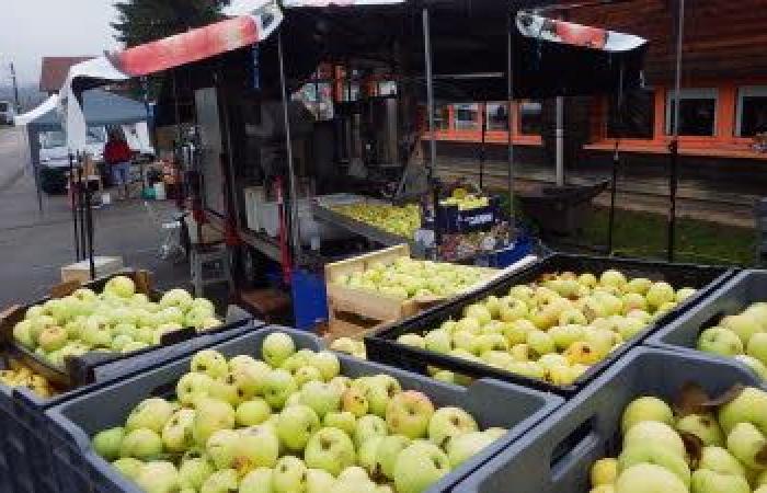 Internship, Gardening workshop in Flangebouche