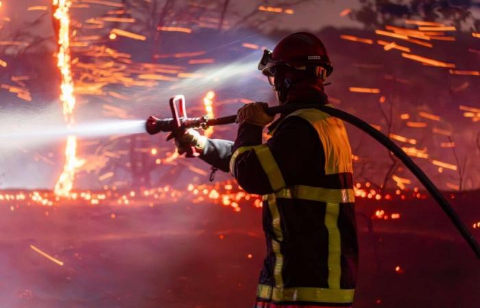 More fires this weekend in the Pyrénées-Orientales Carole Delga “dismayed” by the indictment of elected officials from Aude Gatherings in support of Gisèle Pélicot in Toulouse and Bayonne