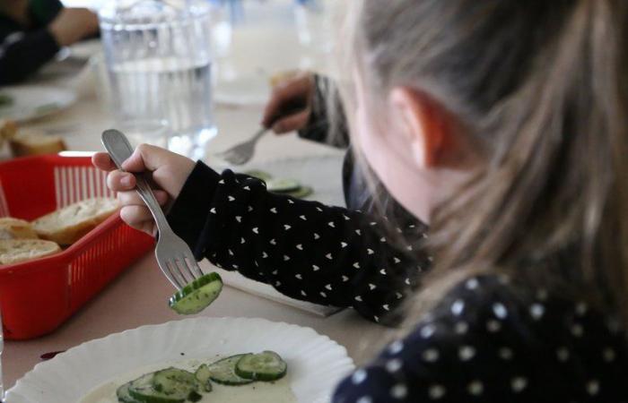 Ariège: “Milk and fruit at school”, the chamber of agriculture wants to promote healthy eating in canteens