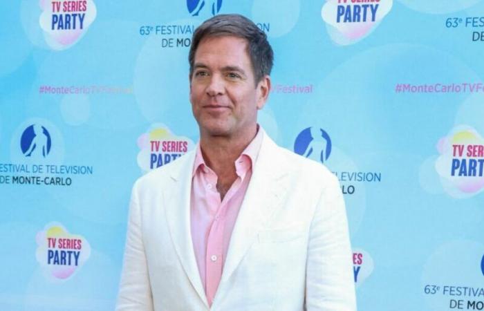 Why Michael Weatherly (NCIS) Took a 2-Year Career Break