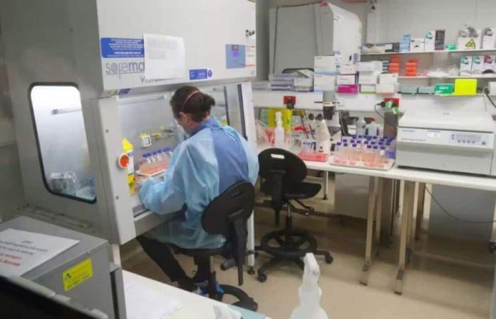 Australian long COVID research gives hope for new vaccines and treatments