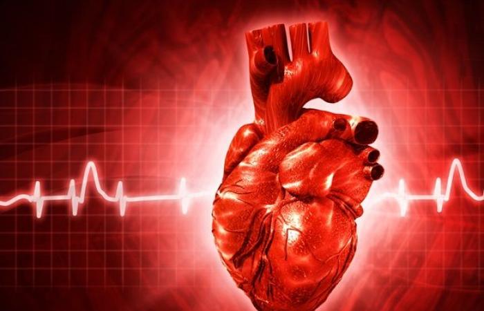 Socioeconomic disparities in coronary heart disease deaths linked to unhealthy behaviors