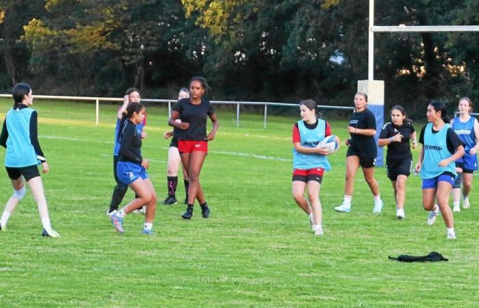 In Quimperlé, the rugby players from South Finistère trained before the resumption