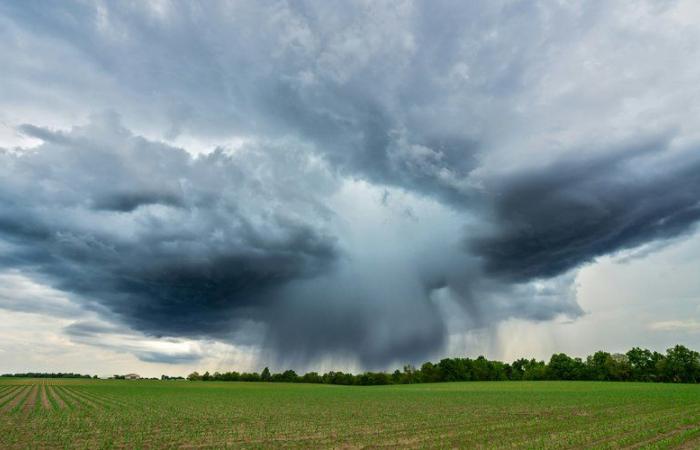 Rainfall could exceed 20 litres per square metre in 30 minutes: Storm Boris arrives in Catalonia