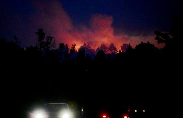 A major fire broke out near the Cantalauze estate near Carcassonne, 100 firefighters are on site and 7 hectares of vegetation destroyed