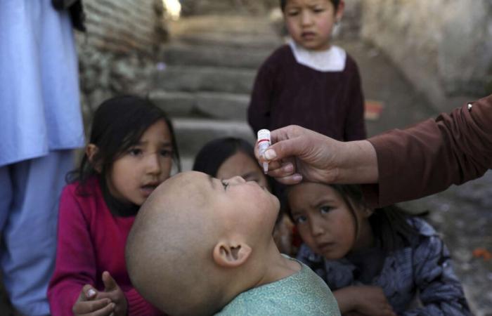 In Afghanistan, Taliban suspend UN-led polio vaccination campaign