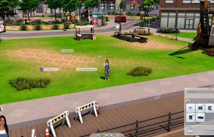 After Mario and Sonic, The Sims will also have their own cinema adaptation – rts.ch