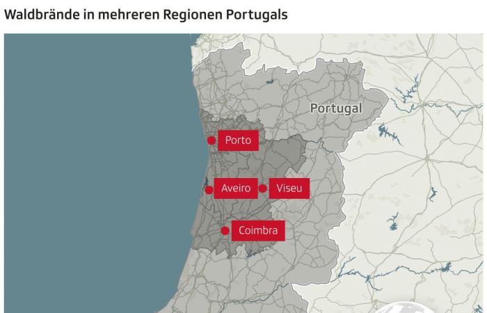 20 large Feuer – Sieben Tote bei Waldbränden in Portugal – News