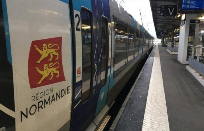 Malicious acts on an SNCF line in Seine-Maritime: the gendarmerie on site