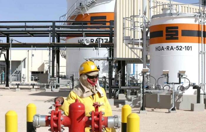 Natural gas industry: Sonatrach, reliable supplier and global strategic partner