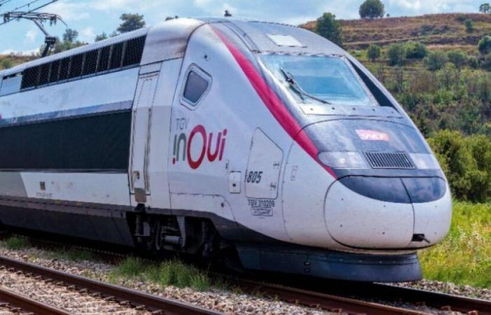 SNCF: it will soon no longer be possible to pay for your tickets with paper holiday vouchers: News