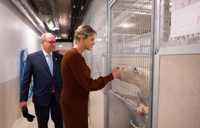 Prince Albert II and Princess Charlene open a haven for animals