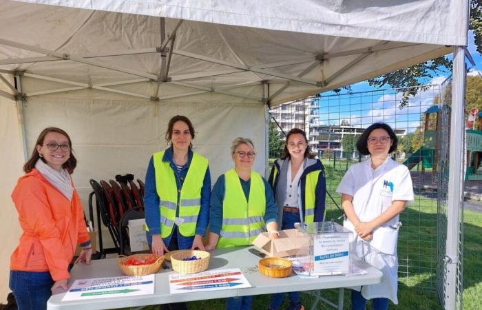 In Saint-Lô, take part in a sporting challenge to fight Alzheimer’s disease