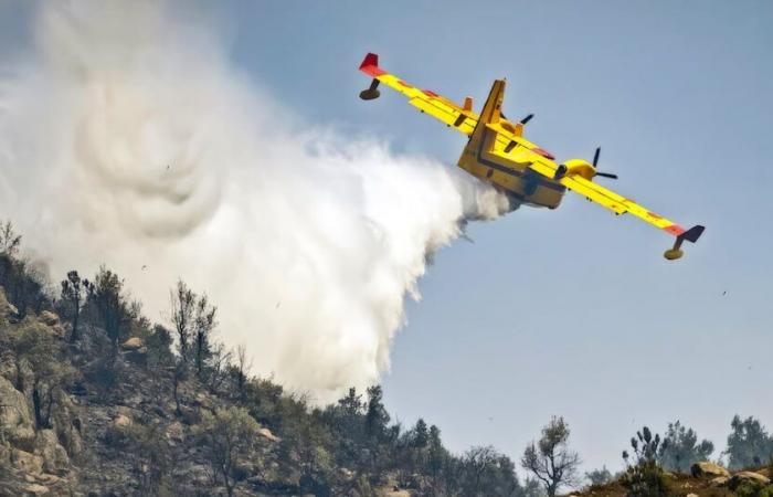 Morocco deploys its Canadairs to support Portugal, which is in the grip of forest fires