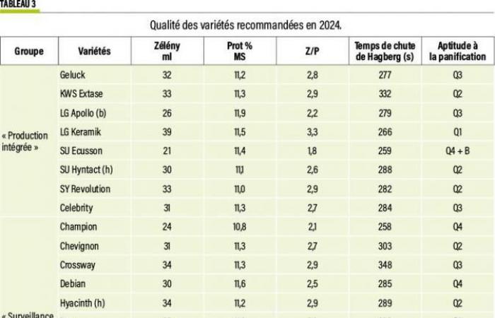 Winter wheat: the results of the White Paper to help you make the right choice