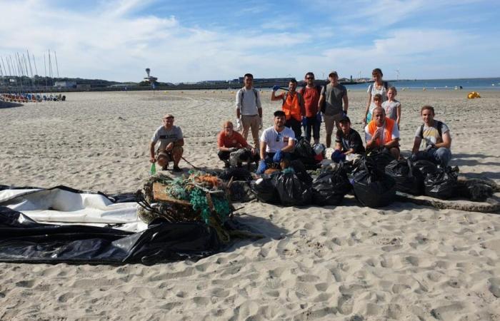 Nord-Pas-de-Calais: good reasons to participate in the global clean-up of the planet this weekend