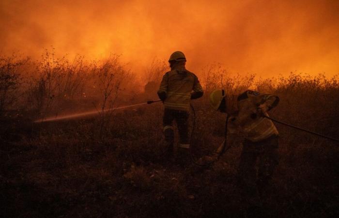 Around forty forest fires still mobilize 4,000 firefighters