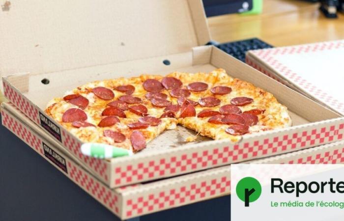 Pizza boxes, pans… Our bodies exposed to 3,601 chemicals