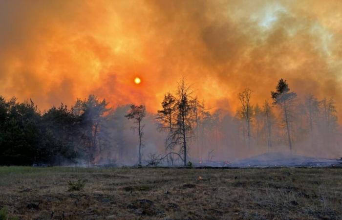 Against forest fires, a constellation of satellites in low orbit financed by Google