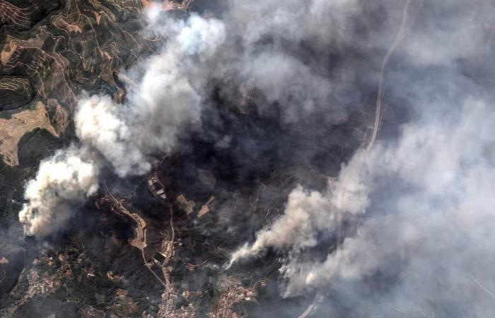 20 large Feuer – Sieben Tote bei Waldbränden in Portugal – News