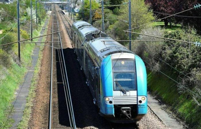 TER traffic disrupted in Loire-Atlantique