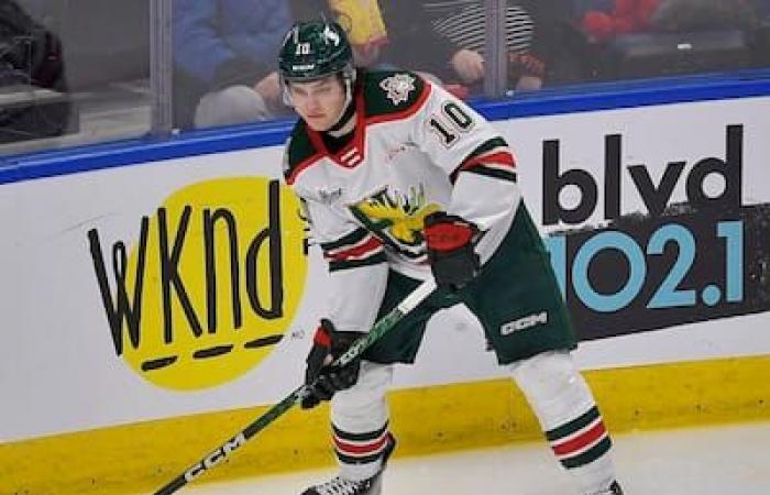 QMJHL: Seven players to watch this season