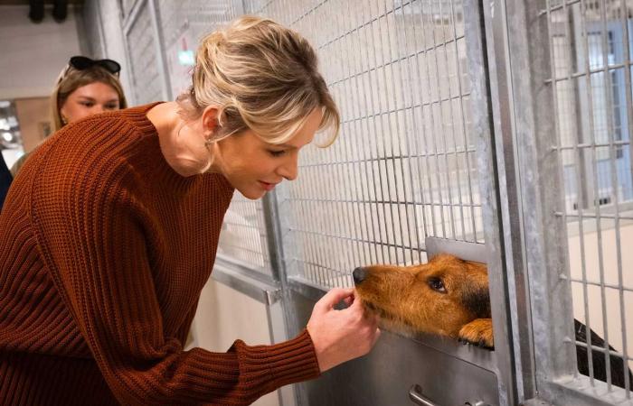 Prince Albert II and Princess Charlene open a haven for animals