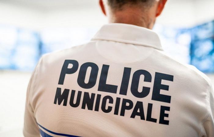 a municipal police officer hit by a stolen vehicle in Chesnay