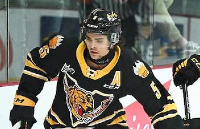 QMJHL: Seven players to watch this season