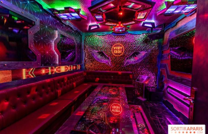 Viet 1331, the new immersive Vietnamese karaoke restaurant in the 13th arrondissement