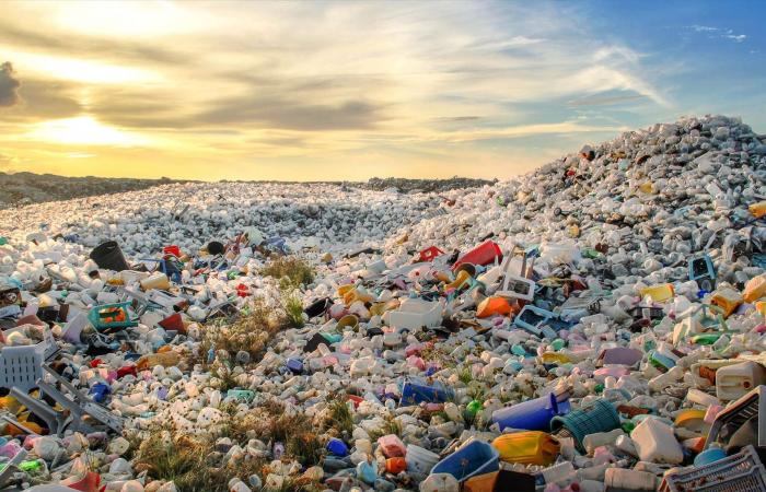 Plastic in the oceans, OECD sounds the alarm