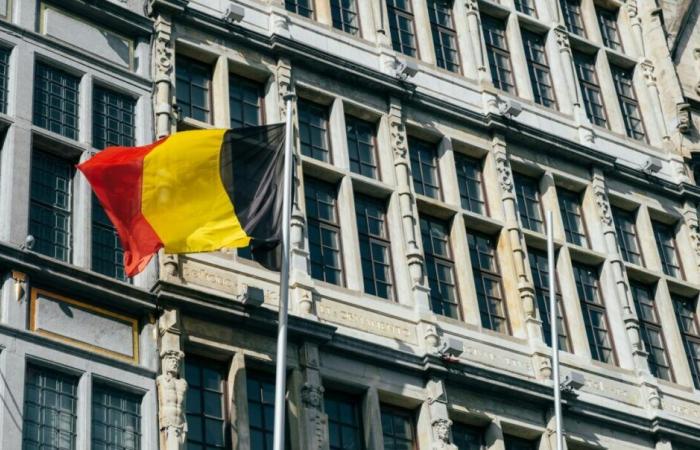 Belgium authorises rechargeable solar panels and battery storage – pv magazine France