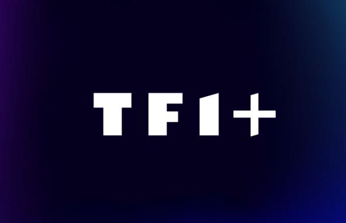 TF1+, available free of charge on Freebox, signs with Arte and an American group to enrich its catalogue