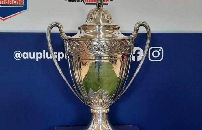 French Football Cup: Saint-Pryvé-Saint-Hilaire (N2) enters the Saran (R1) field